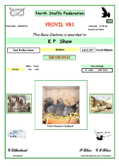 Certificate_NSF_2011.JPG